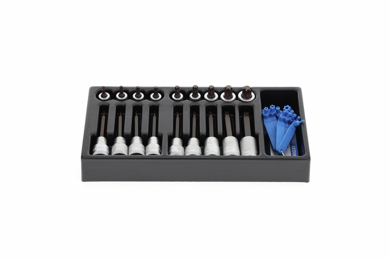 1500 ES-ITX 19 LKP Juego de insertos para destornillador 1/2" en módulo ES 1/3