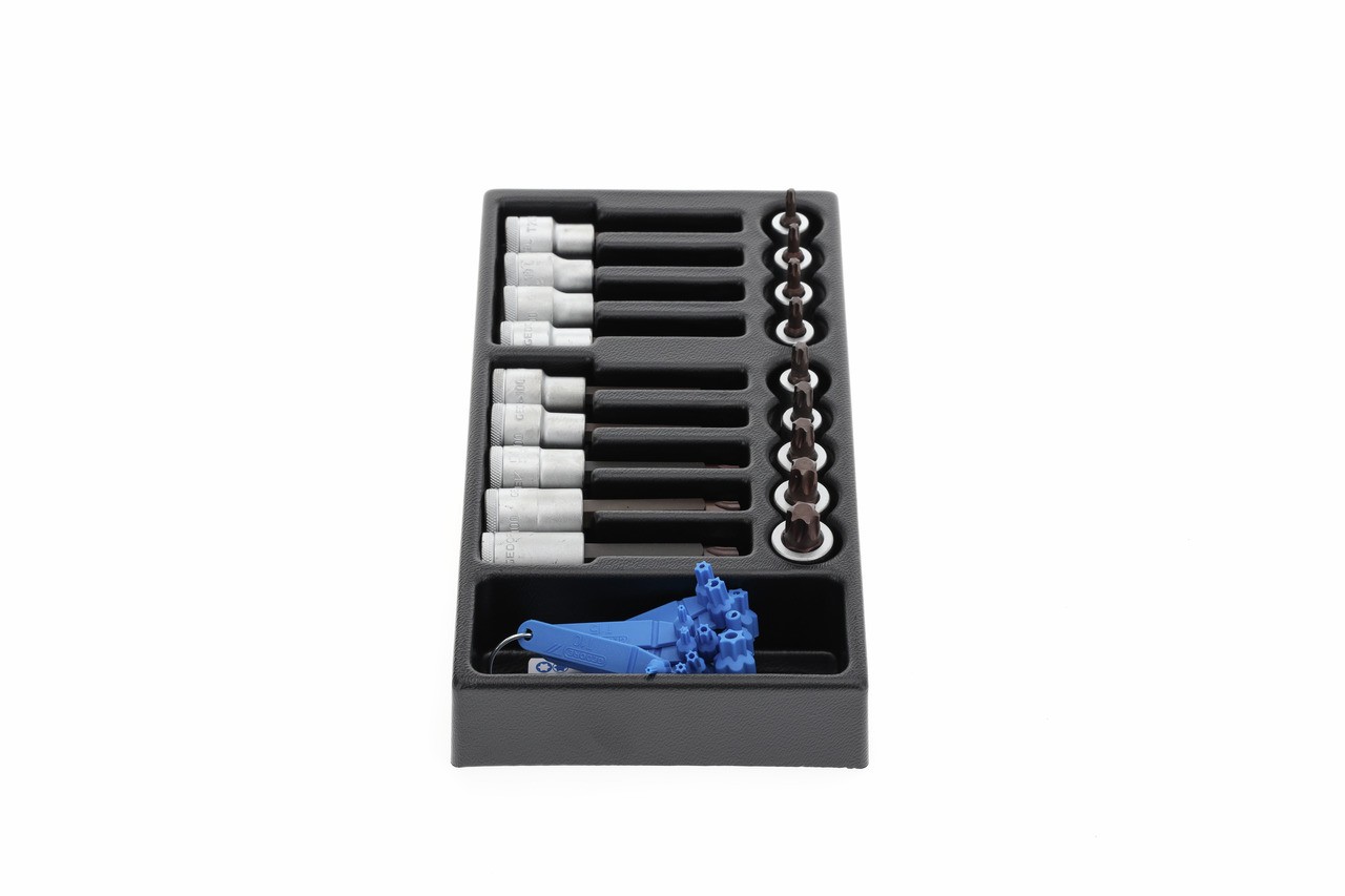 1500 ES-ITX 19 LKP Juego de insertos para destornillador 1/2" en módulo ES 1/3