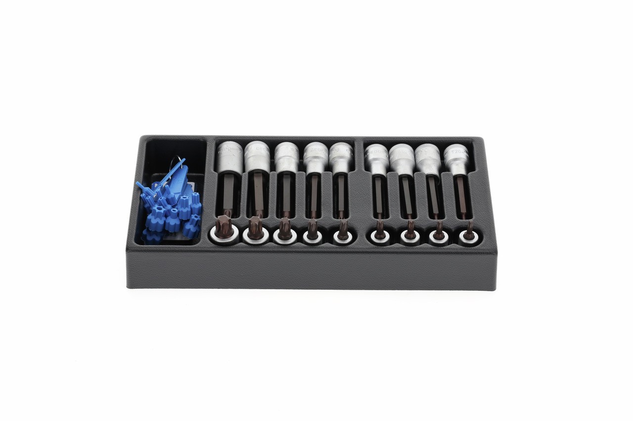 1500 ES-ITX 19 LKP Juego de insertos para destornillador 1/2" en módulo ES 1/3