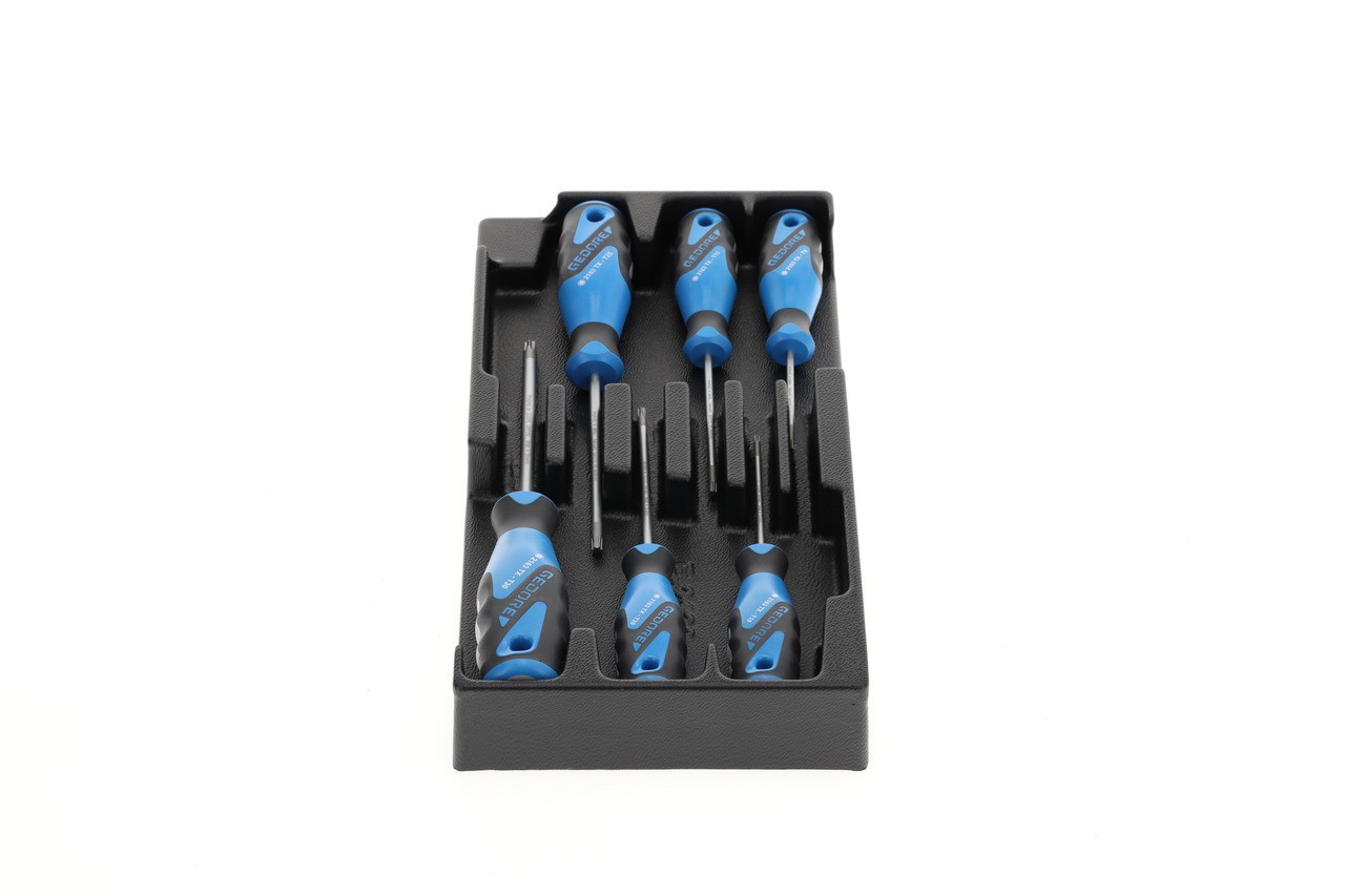 1500 ES-2163 TX Juego de destornilladores en módulo 1/3 ES