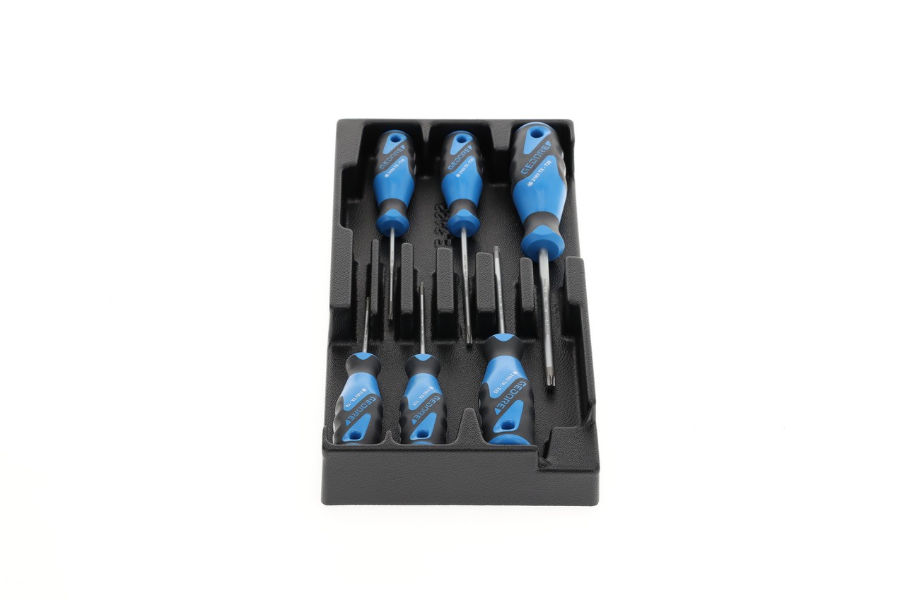 1500 ES-2163 TX Juego de destornilladores en módulo 1/3 ES