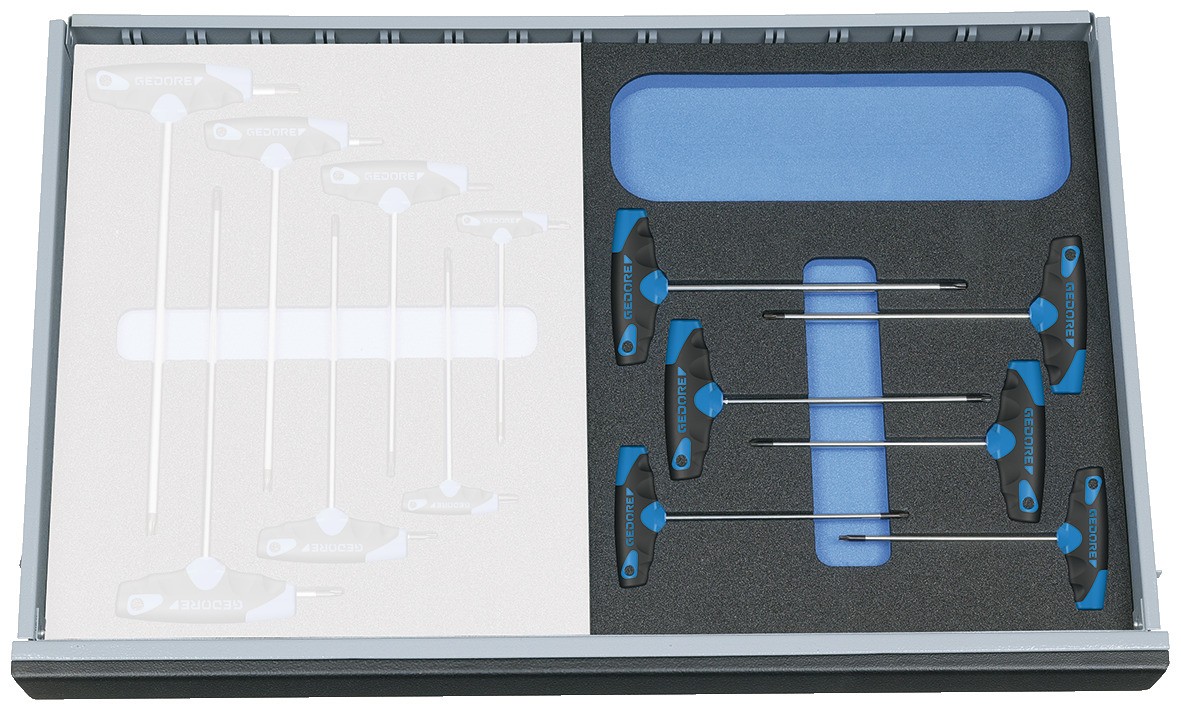 2005 CT2-2142 TX Juego de destornilladores en módulo Check-Tool 6 -te piezas