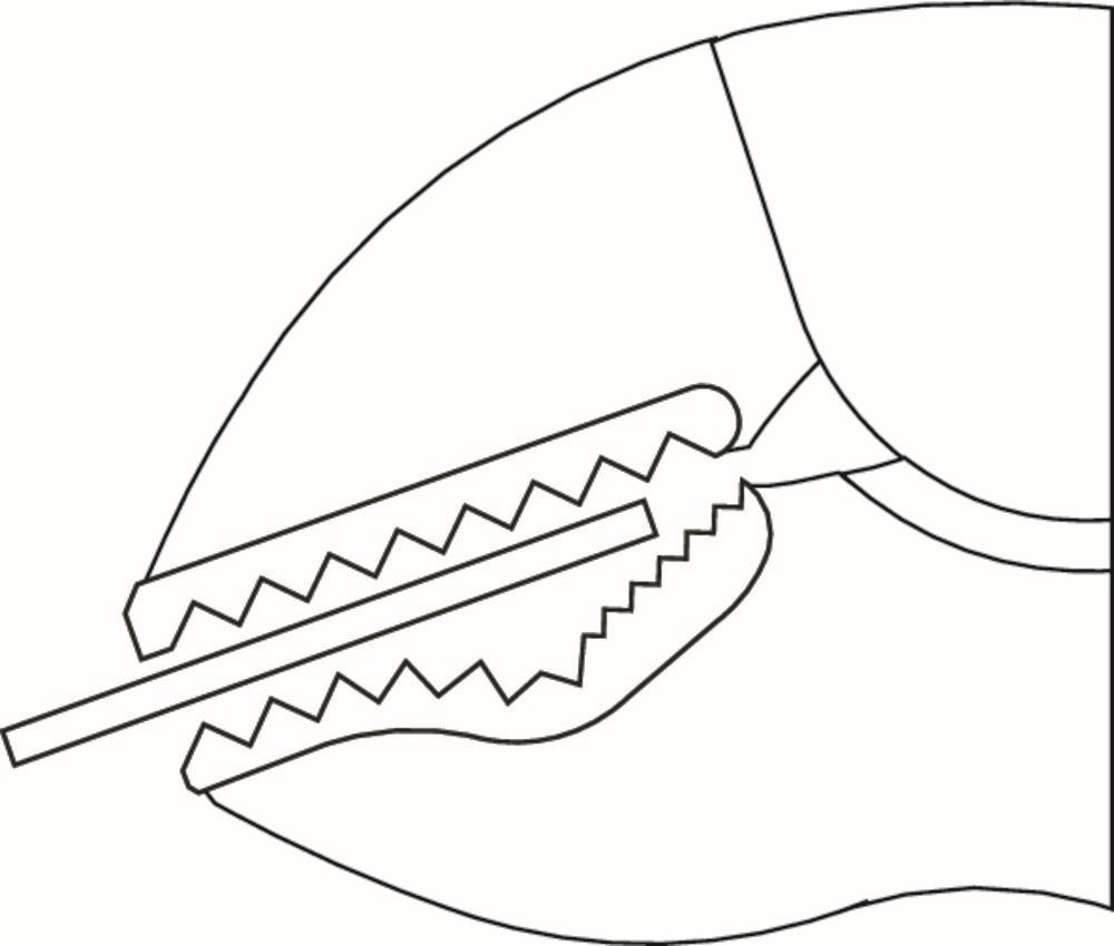 137 7 Alicates de agarre 7"