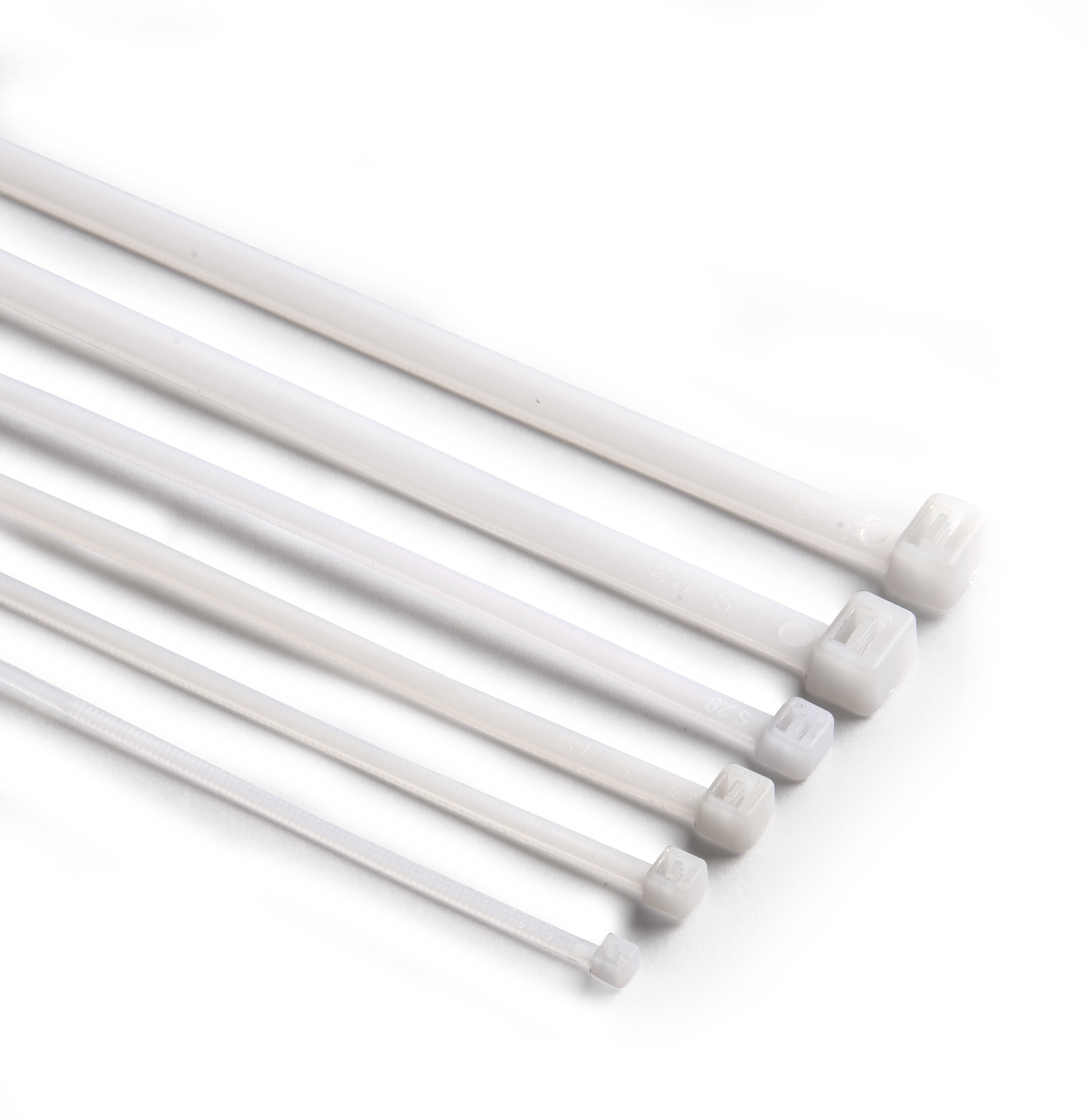 18010 | Brida blanca 100x2,5 50 Uds.