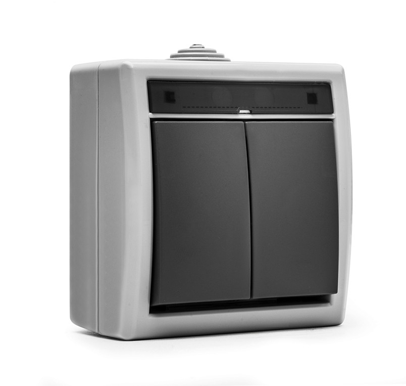 19076 | Doble interruptor de superficie estanco 10A IP55