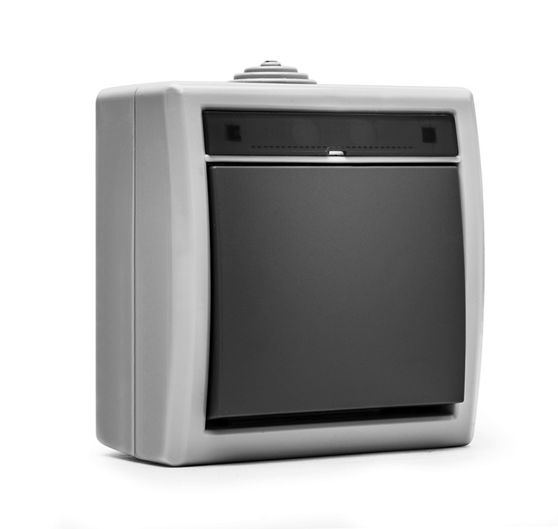 19077 | Pulsador de superficie estanco 10A IP55