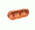 3257 | Caja para 3 mecanismos tabiqueria hueca IP20