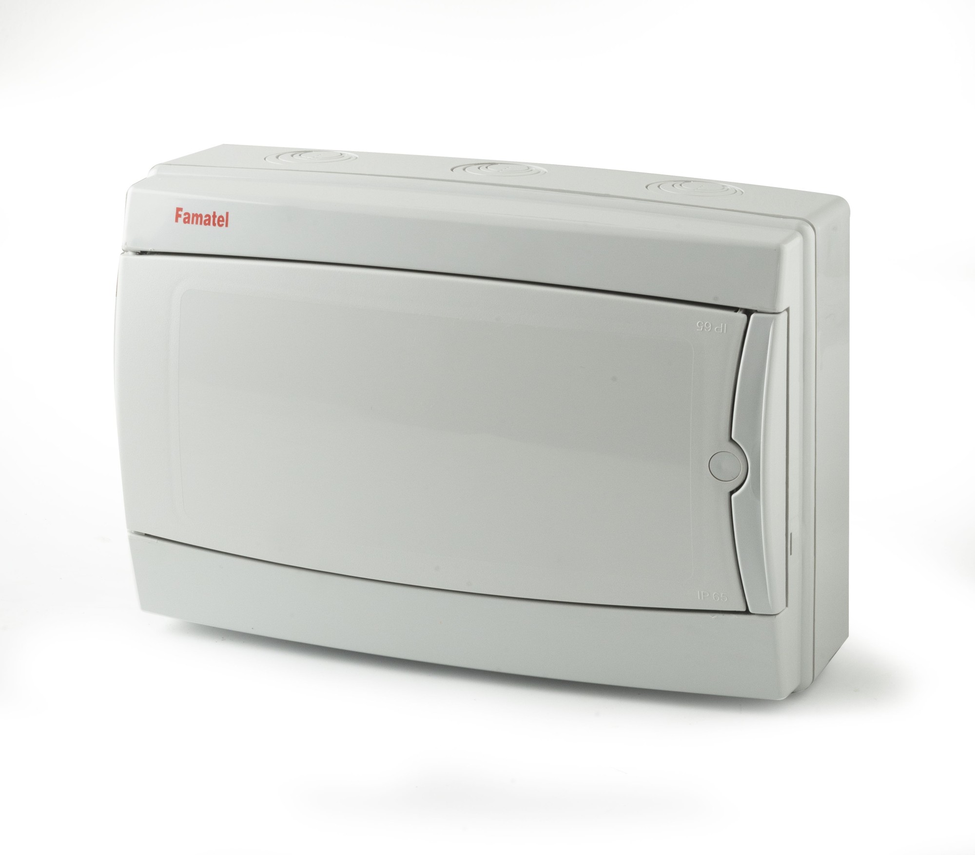 3912 | Armario de superficie 12 módulos 215x310x110 IP65