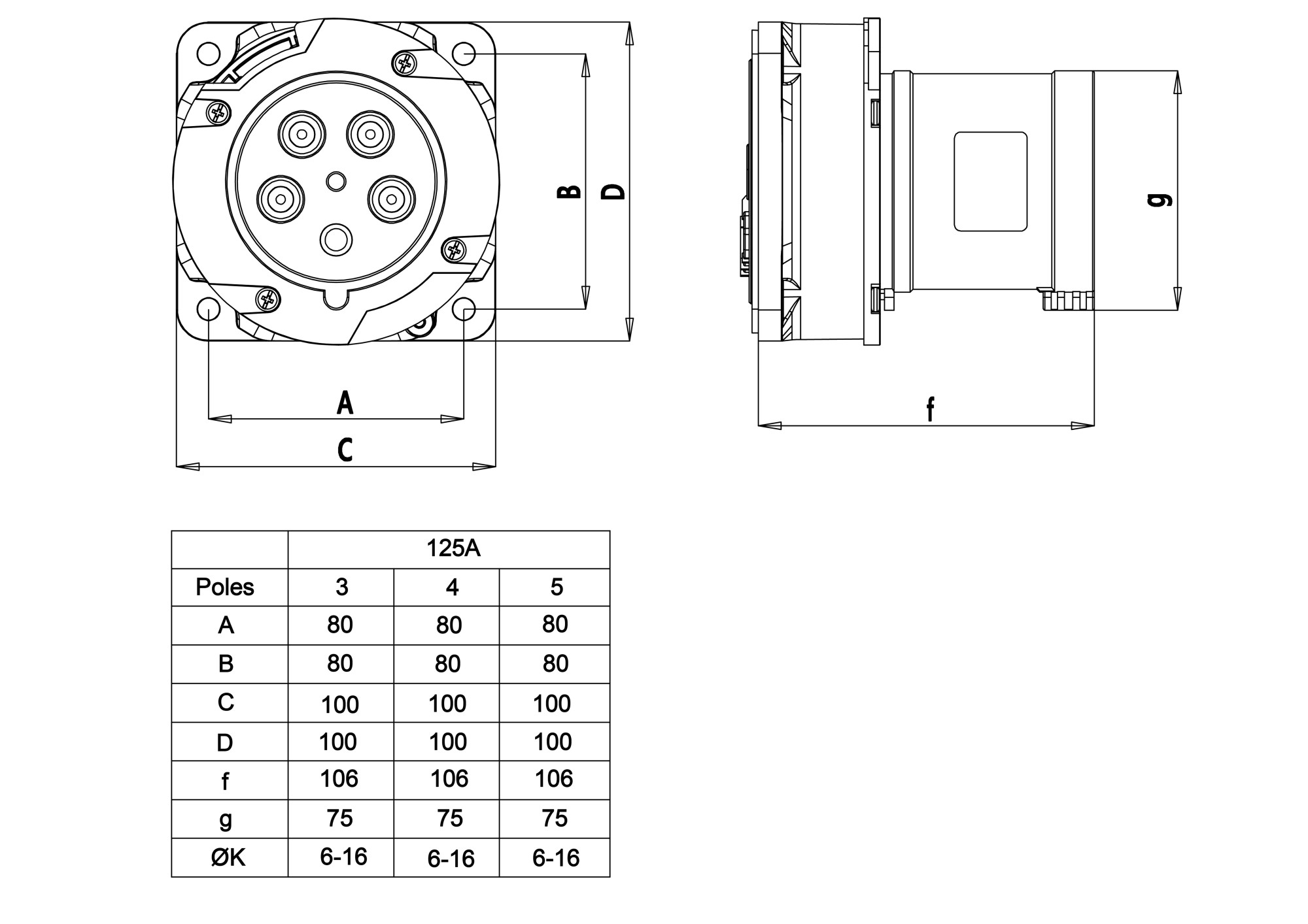 13638 | Clavija empotrar salida recta 2P+T 63A IP44/54