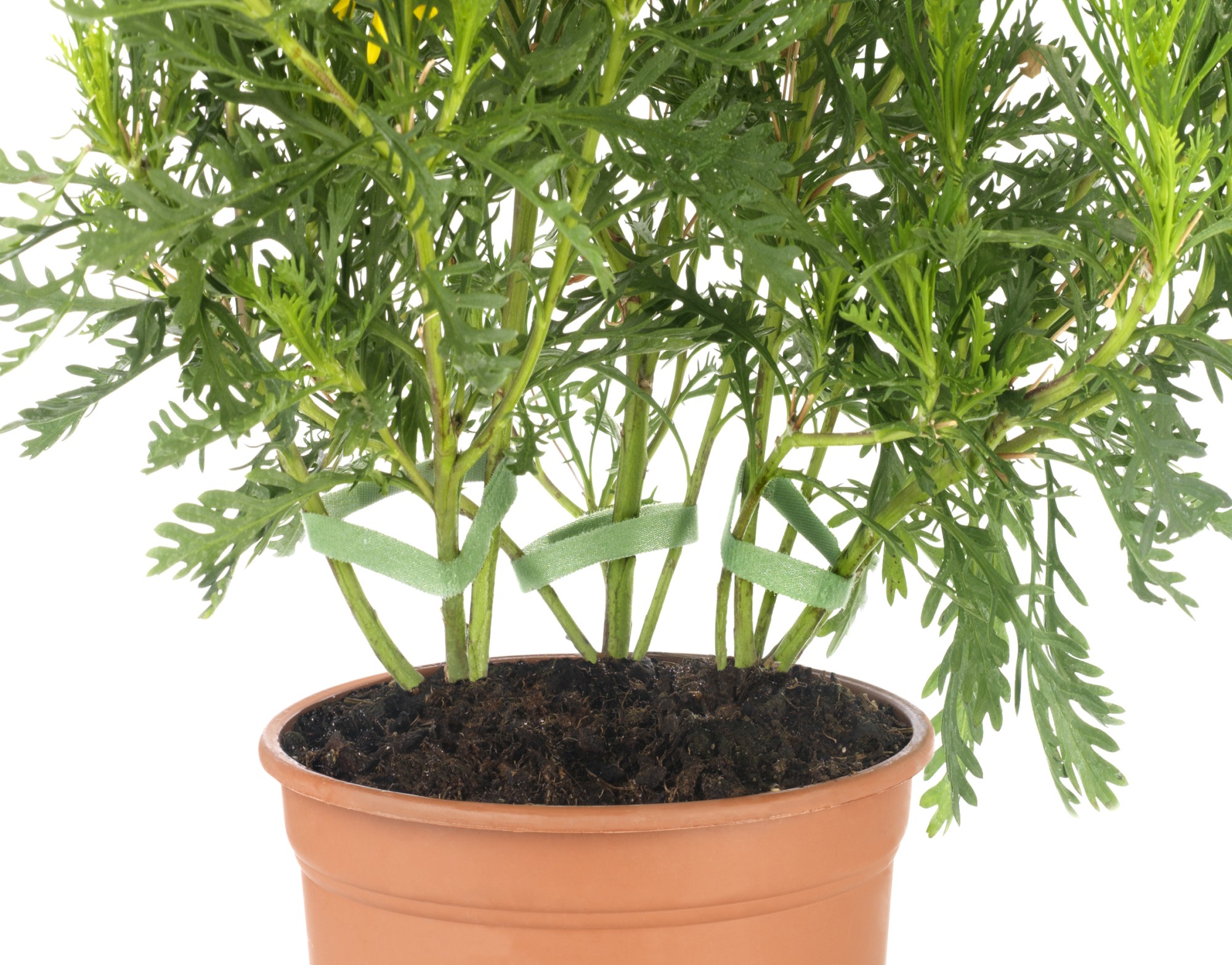 Cinta autoadherente 9 mm x 3 m. / surtido