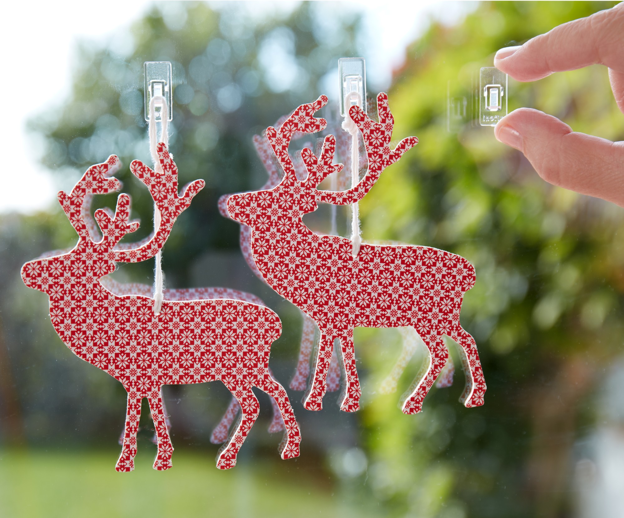 Mini ganchos adhesivos / transparente