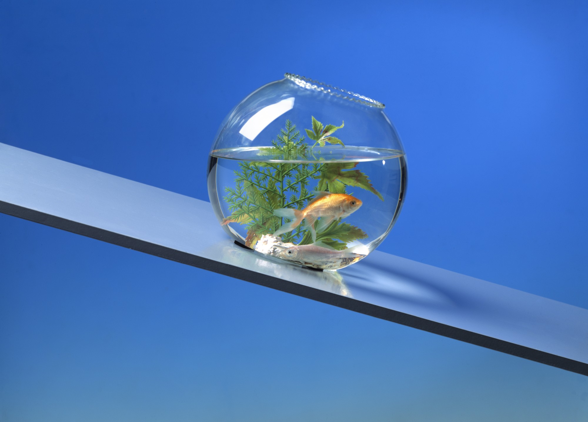 Antideslizante adhesivo 17x17 mm / negro