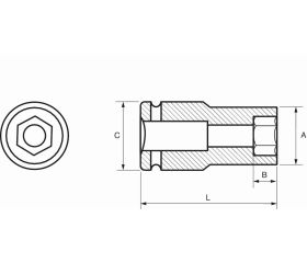 Vasos de impacto hexagonales de serie larga de 1/2