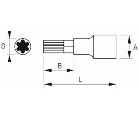 Vaso con punta Torx® de 1/2