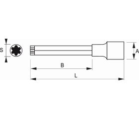 Vaso con punta larga Torx® de 1/2