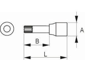 Vaso con punta XZN de 1/2