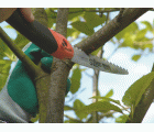 Serruchos de poda plegables con mango bi-componente para cortar ramas verdes | 396-JS