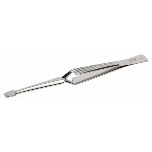 Pinzas de acción inversa generales con acabado pulido y niquelado | 5518