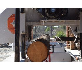 Hoja de sierra de cinta estándar | 3862 Sandcut Solid