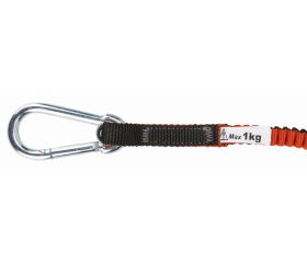 Lanyards con mosquetón fijo y cordón intercambiable para 1 kg | 3875-LY3