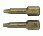 Puntas de torsión extraduras de 1/4" para tornillos de cabeza TORX® de 25&nbsp;mm | 61H/T