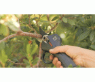 Tijeras de podar a batería sin cable 26 mm | BCL226