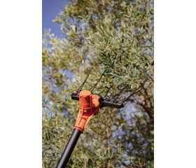 Vareador de aceitunas de 12V con pértiga fija | BCL51
