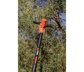 Vareador de aceitunas de 12V con pértiga fija | BCL51