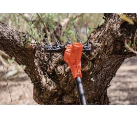 Vareador de aceitunas de 12V con pértiga fija | BCL51