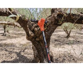 Vareador de aceitunas de 12V con pértiga fija | BCL51