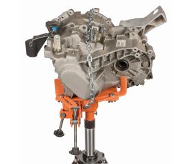 Plato universal para gatos de transmisión | BH5US1000