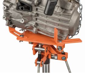 Plato universal para gatos de transmisión | BH5US1000