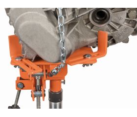 Plato universal para gatos de transmisión | BH5US1000