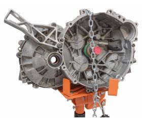 Plato universal para gatos de transmisión | BH5US1000