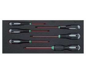 Juego de destornilladores TORX® inviolables en bandeja de foam 1/3 Fit&Go TR10-TR40 (6 piezas) | FF1E1008