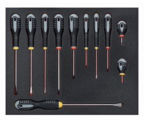 Juego de destornilladores Phillips en bandeja de foam 2/3 Fit&Go (11 piezas) | FF1F1002