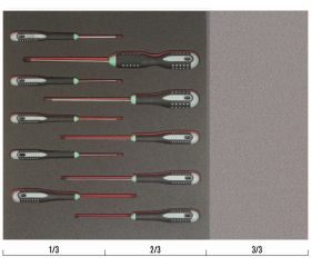 Juego de destornilladores TORX® en bandeja de foam 2/3 Fit&Go (10 piezas) | FF1F1004