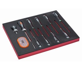 Juego de destornilladores y puntas TORX® en bandeja de foam 2/3 Fit&Go (12 piezas) | FF1F1005