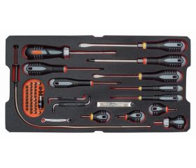 Juego de destornilladores en bandeja de foam para maletas rígidas 