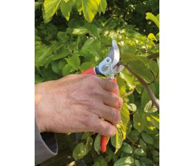 Tijeras de podar de una mano de corte deslizante con mango de composite de agarre suave y cabezal de corte estrecho | P108