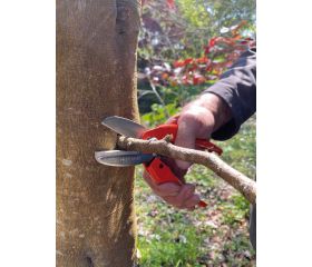 Cizallas con mangos de acero sellado presionado | P138