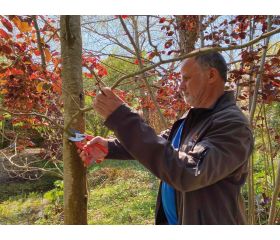 Cizallas con mangos de acero sellado presionado | P138