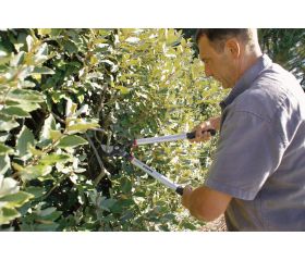 Tijeras de podar de dos manos de corte deslizante de 55 mm, profesionales y ligeras, con mango de aluminio | P280-SL