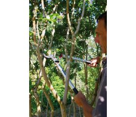 Tijeras de podar de dos manos de corte deslizante de 55 mm, profesionales y ligeras, con mango de aluminio | P280-SL