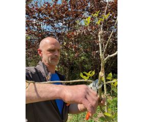 Tijeras de podar de una mano de corte deslizante con mangos de acero forjado y cabezal de corte estrecho | P5