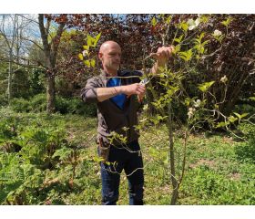 Tijeras de podar de una mano de corte deslizante con mangos de acero forjado y cabezal de corte estrecho | P5