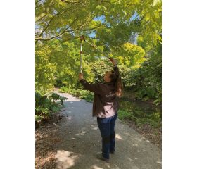 Tijeras de podar de dos manos de corte deslizante telescópicas, para expertos, de 40 mm y con mango bi-componente | PG-19