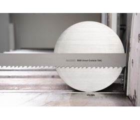 Hoja de sierra de cinta de carburo más avanzada | 3860 Unset Carbide TMC