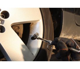 Medidor de presión de neumáticos | BWTPG1