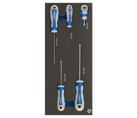 Destornilladores Pozidriv en bandeja de foam 1/3 (5 piezas) | IFF1E009